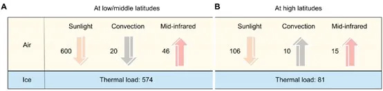 基于醋酸纤维素的分层式辐射冷却薄膜可防止日光下的冰雪融化